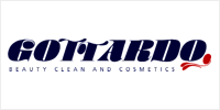 Logo Gottardo S.p.A.