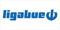Logo LIGABUE